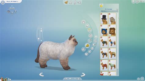 how to buy a pet in sims 4 and why pets bring joy to our lives